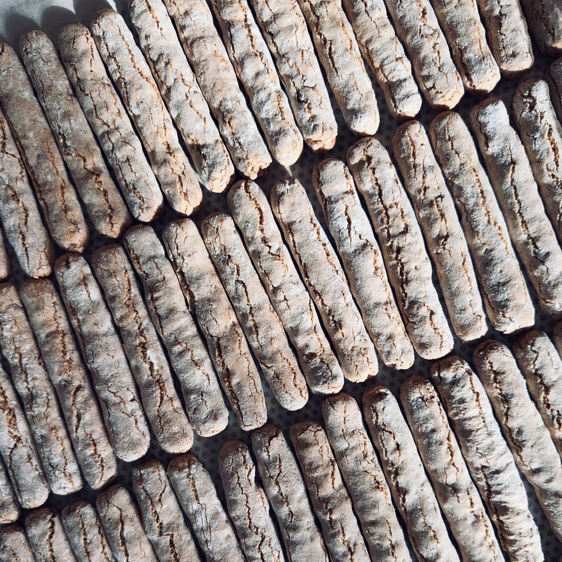 Hazelnut Twigs