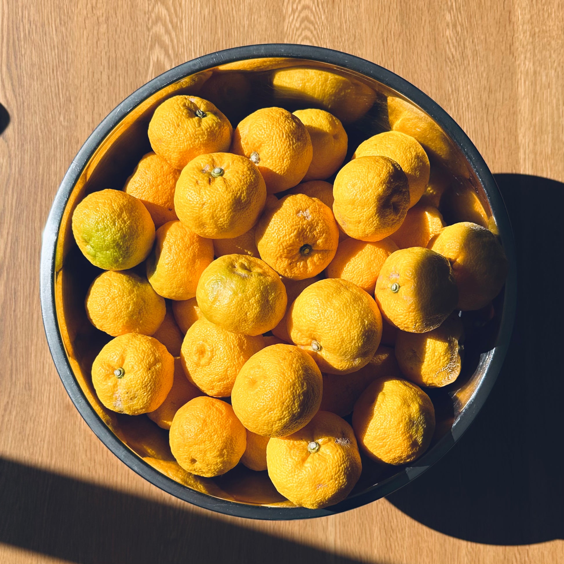 Yuzu Macadamia Ricciarelli